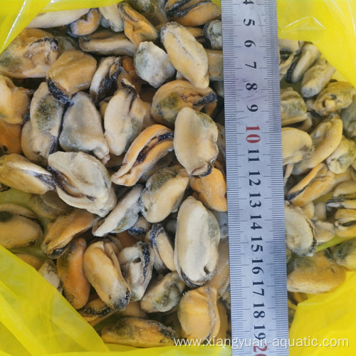 frozen cooked full shell mussels